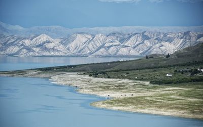 Qual o risco de extinção da Biodiversidade na Sustentabilidade do Planeta?